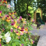 Playground photo #4